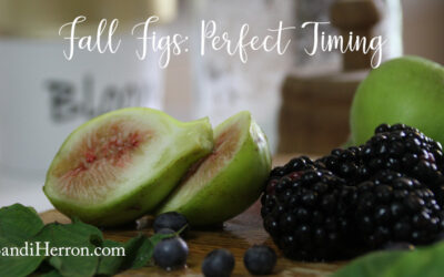 Fall Figs and Perfect Timing