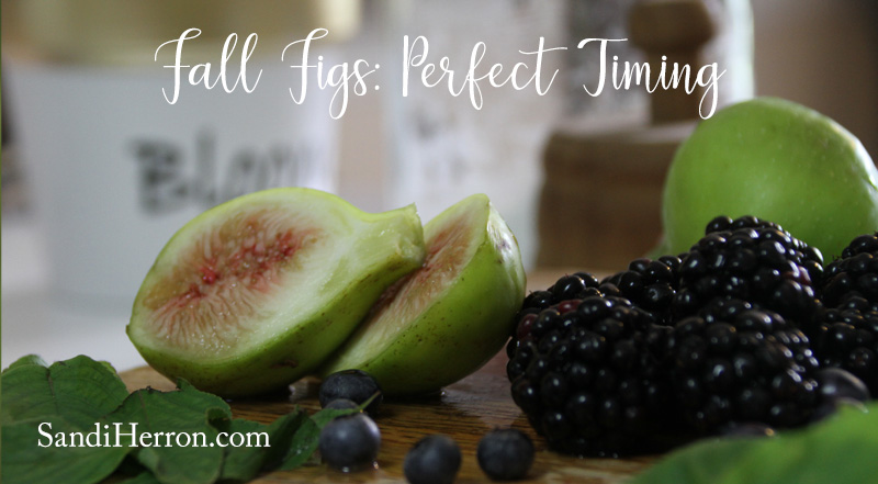 Fall Figs and Perfect Timing