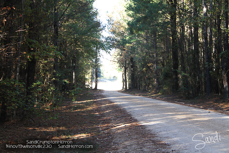 Backroad Traveler: Chelsea/Wilsonville Alabama (Photos)