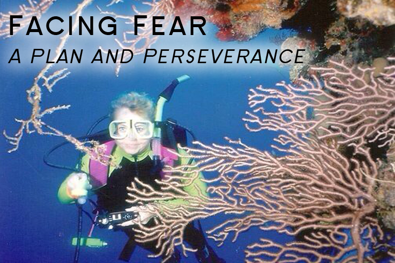 Facing Fear: A Plan and Perseverance