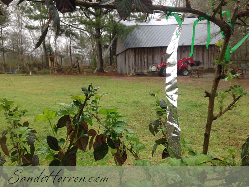 Recycling in the Garden – Snack Bags