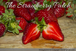 Strawberry Patch - What's Inside is What Counts!
