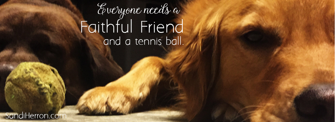 Faithful Friend and a Tennis Ball