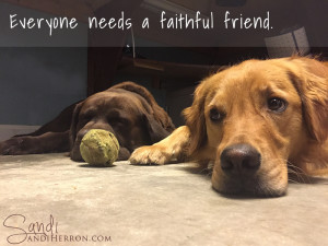 Faithful Friends