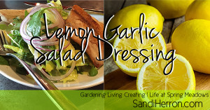 Lemon Garlic Salad Dressing drizzled over fresh greens and vegetables is a compliment compliment to any healthy menu!