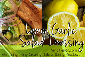 Lemon Garlic Salad Dressing drizzled over fresh greens and vegetables is a compliment compliment to any healthy menu!