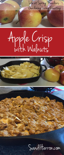 Apple Crisp with Walnuts | Life at Spring Meadows | Gardening Living Creating