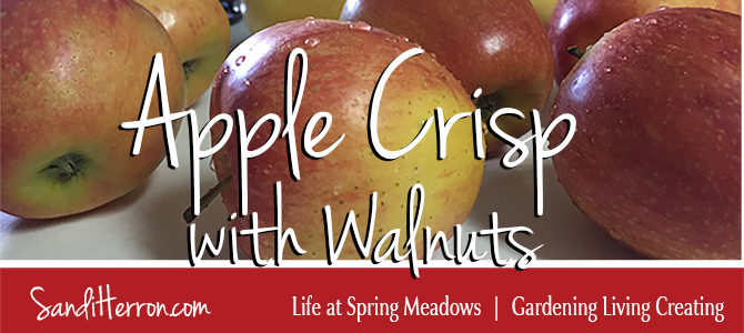 Apple Crisp with Walnuts