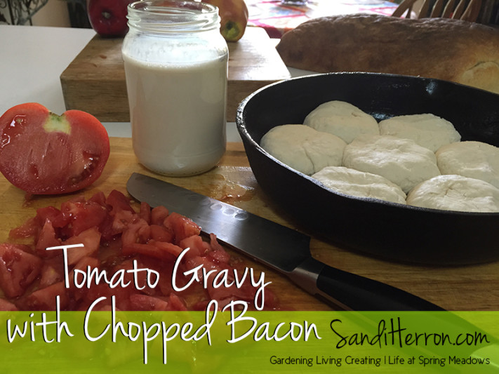 Tomato Gravy | Life at Spring Meadows | Gardening Living Creating