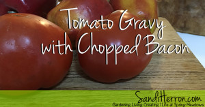 Tomato Gravy | Breakfast in the South