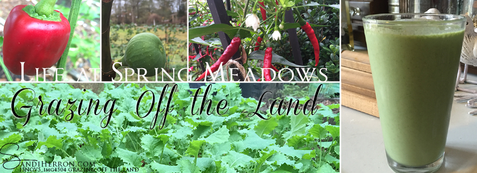 Grazing Off the Land | Fresh Kale