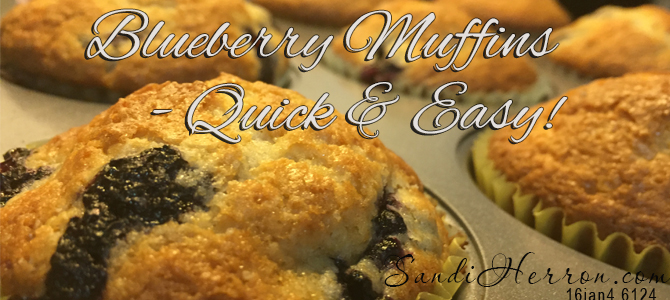 Blueberry Muffins | Life at Spring Meadows | Gardening Living Creating