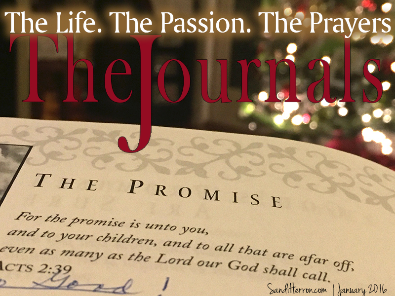 The Journals | The Life, the Passion, the Prayers of My Mother