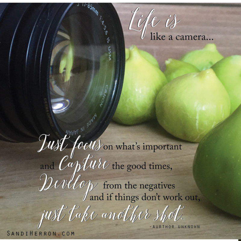 Friday Focus: Life is a Camera – Just Focus