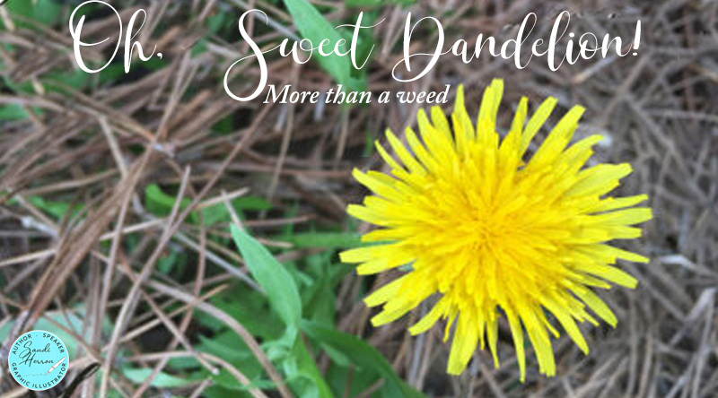 Oh Dandelion, You Are More Than a Weed!