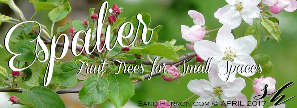 Espalier: Fruit Trees for Small Spaces