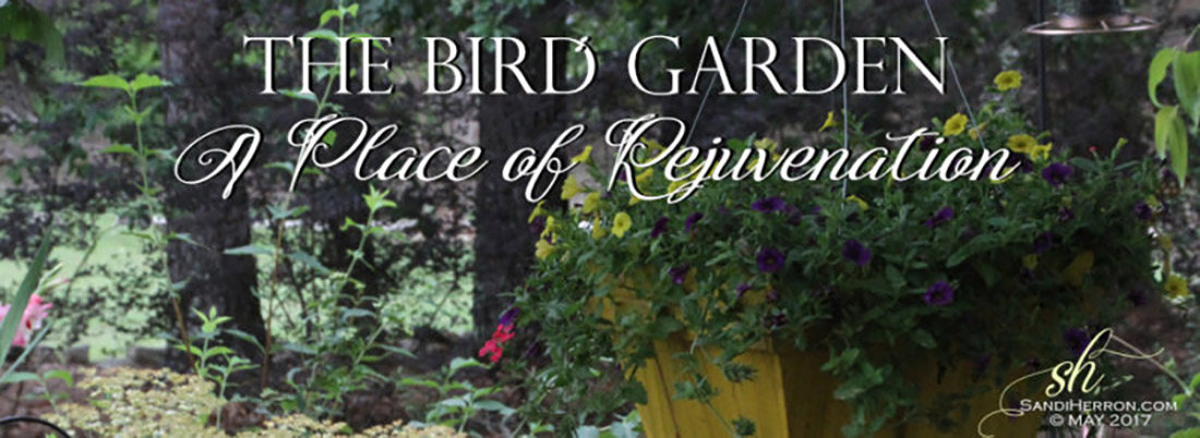 The Bird Garden: A Place of Rejuvenation