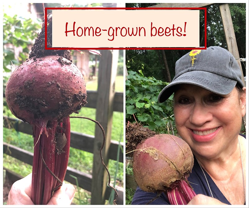 Home-Grown Beets