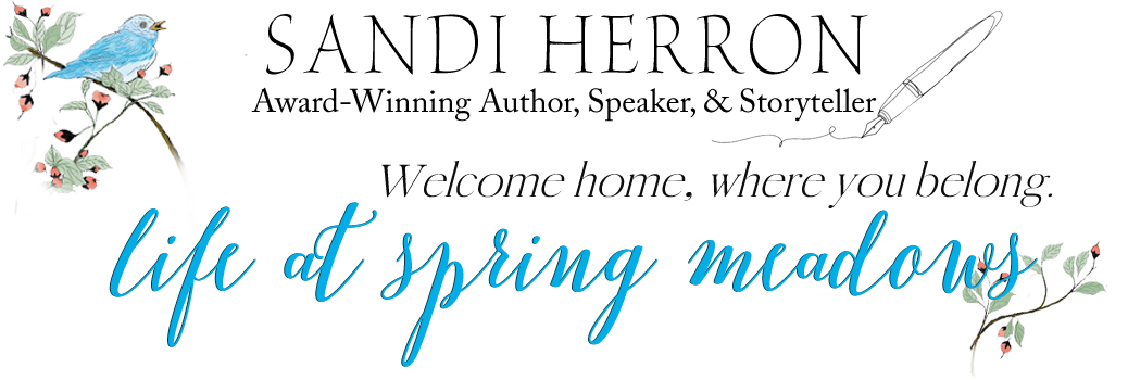 Sandi Herron - Life at Spring Meadows
