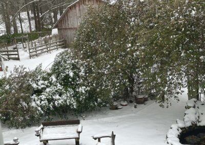 The barn, the garden, the firepit covered in snow.