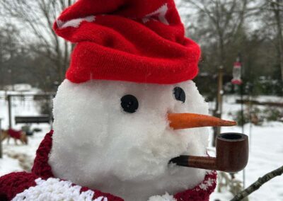 Bama Snowman 2025