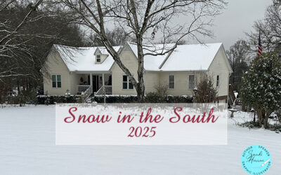 Snow in the South 2025