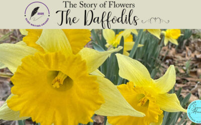 Where Daffodils Bloom, So Does Hope