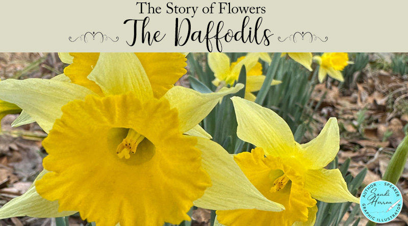 The Daffodils and Hope