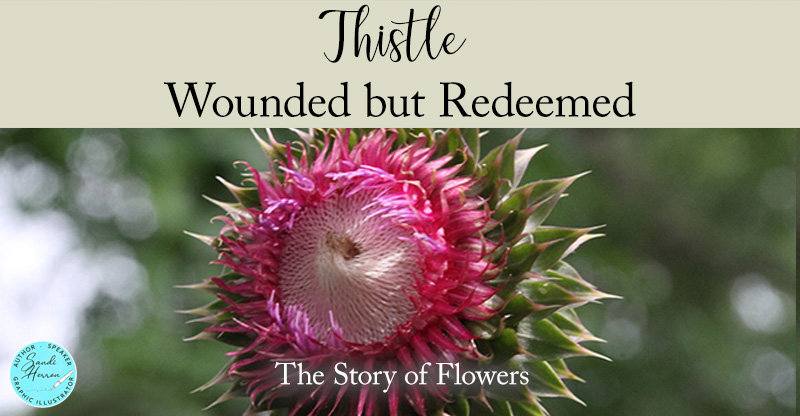 Wounded by Thorns, Redeemed by Grace
