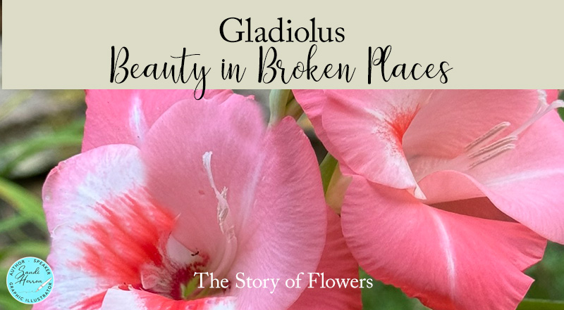 Beauty in Broken Places