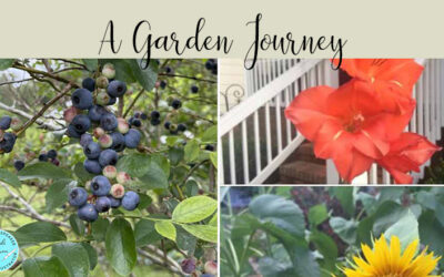 Faithfulness. A Garden Journey