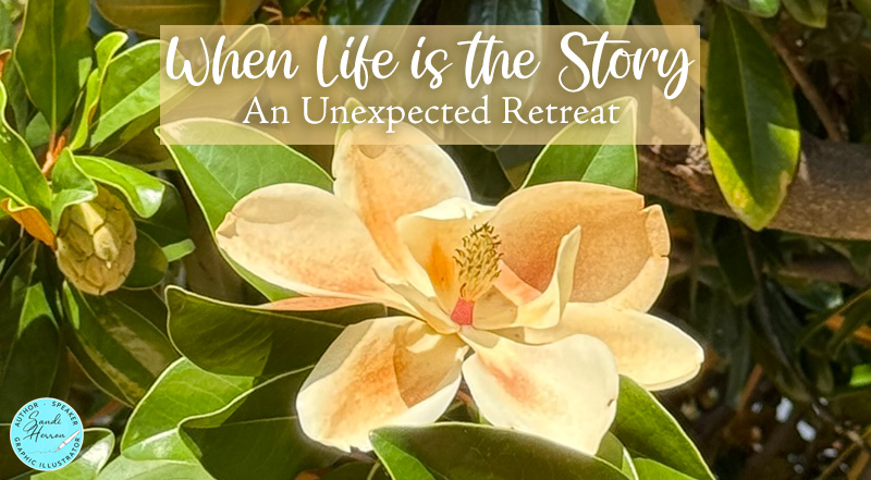 When Life Becomes the Story