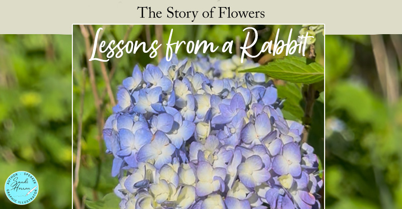 Life Lessons from a Talking Rabbit