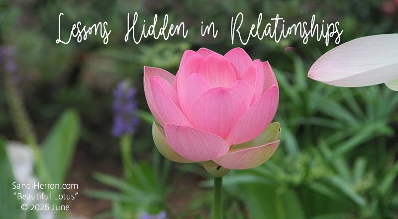 Lessons Hidden in Relationships
